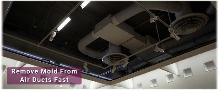 Air Duct Mold Removal in Downers Grove