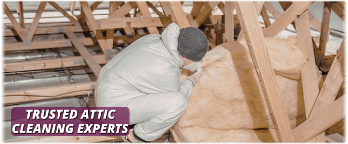 Attic Cleaning Downers Grove