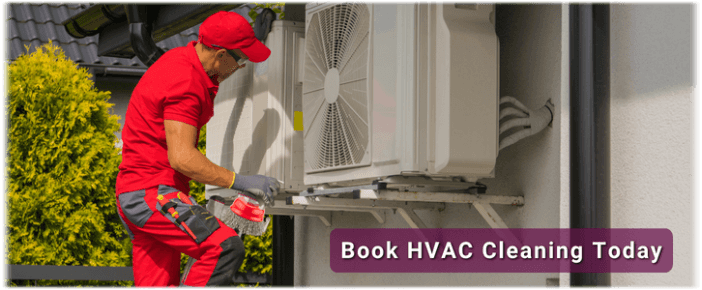 HVAC Mold Removal Downers Grove